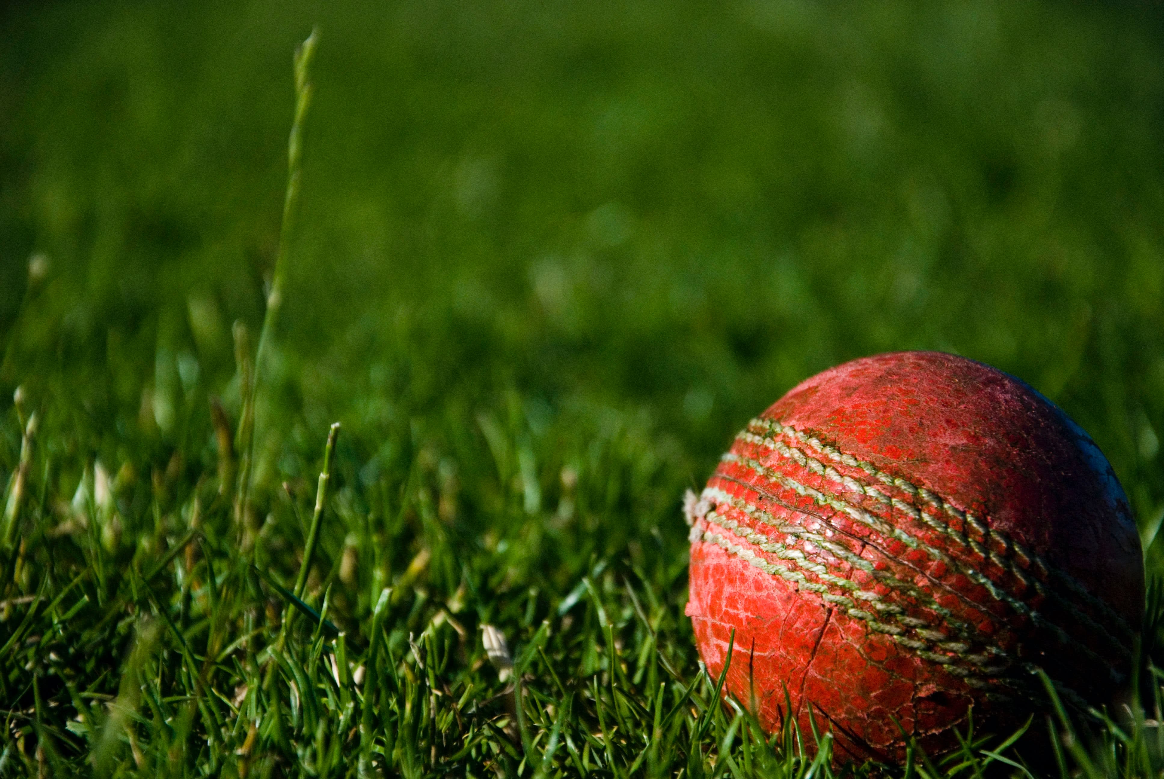 Red cricket ball on grass