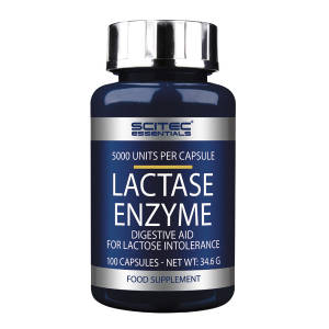 Lactase Enzyme 