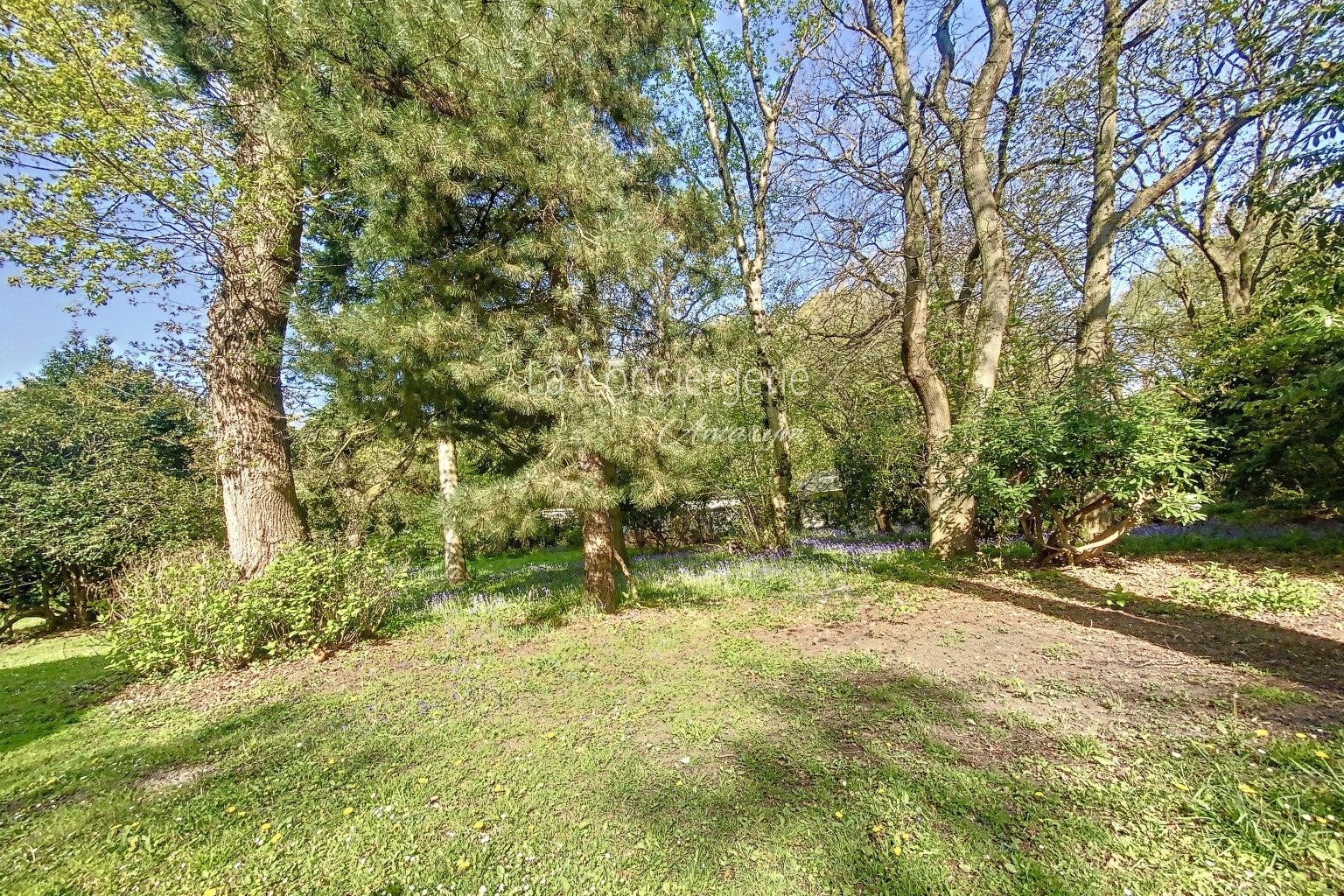BG 32 - Mer & Bois de Cise, vue 36