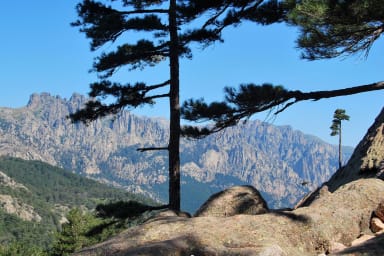 Randonnée dans l'Alta Rocca à 1h de voiture