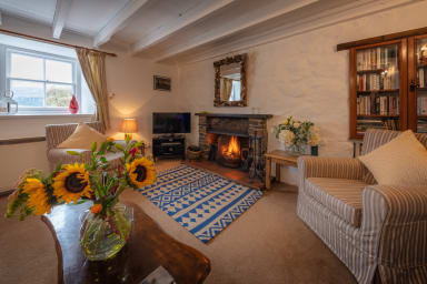 Living room & fireplace