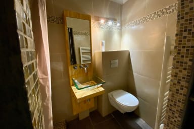 Salle de bain avec douche, simple vasque et wc
