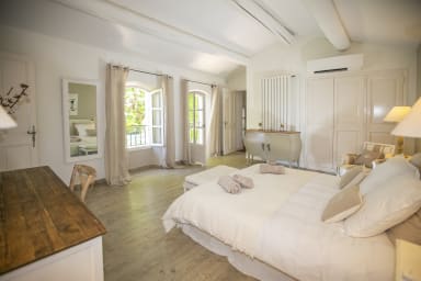 Spacious holiday home in the heart of Provence