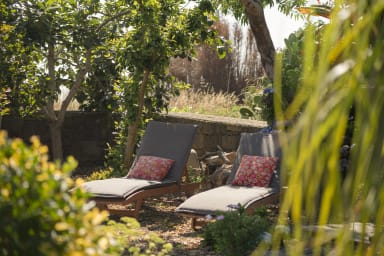 loungers 