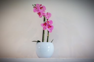 Décoration d'ambiance