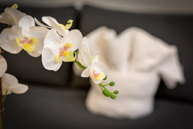 Décoration d'ambiance