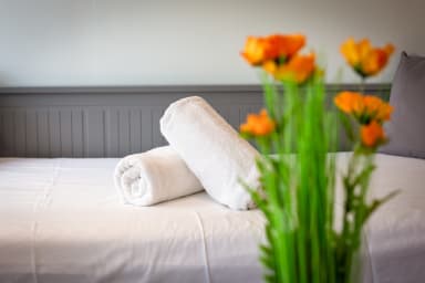 Linge de maison fournit