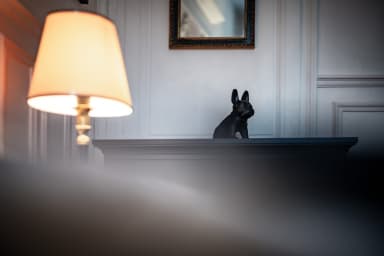 Décoration d'ambiance