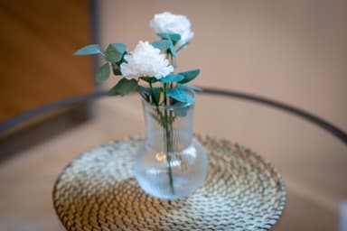 Décoration d'ambiance