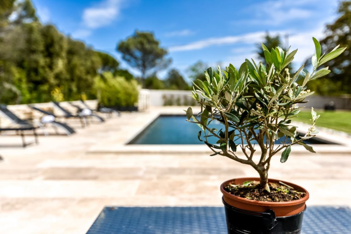 Maison "Villa Tranquilla: Retraite de Charme avec Piscine à Lourmarin" 