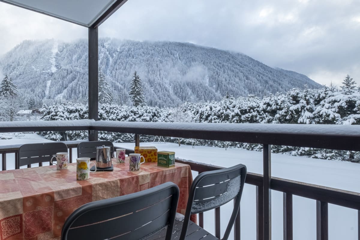 Chaleureux apt proche des Grands Montets