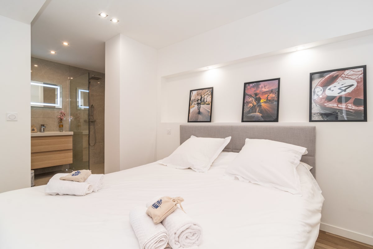 Appartement Splendide 2 ch coeur villle loggia verdure réno 4* Cannes Olam Properties 
