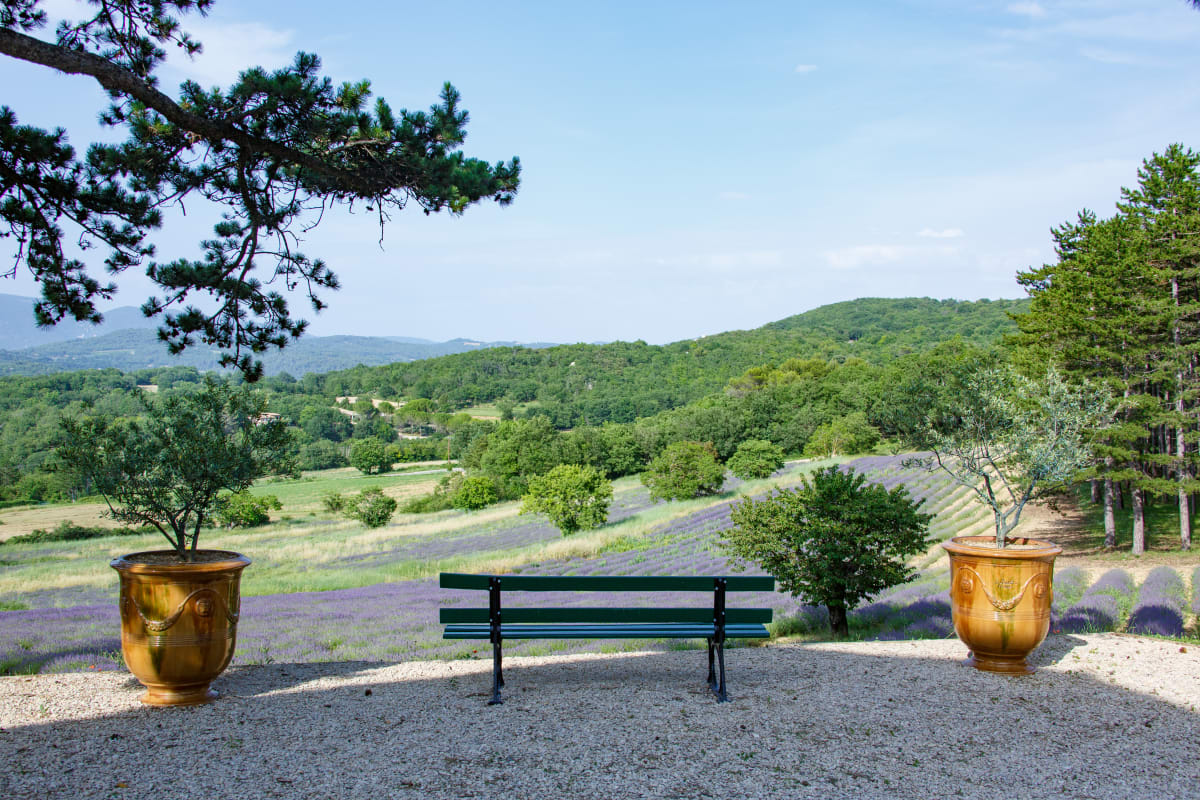 Immobilier Bastide de l'Esclat - Champs de Lavandes & Piscine  