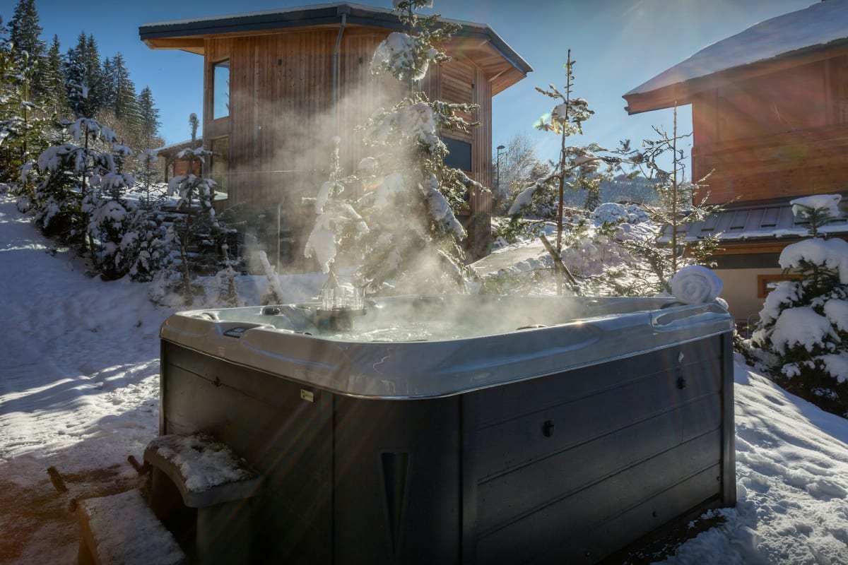  immobilier  Vacances dans les Alpes 10p avec spa - OVO Network