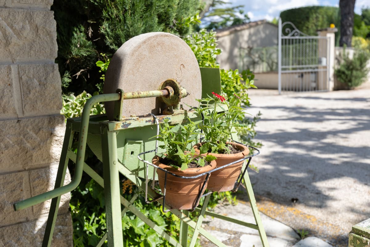 Immobilier Lou Cigalon • Mas provençal avec piscine  
