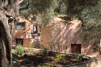 Luxury villa surrounded by beautiful olive trees
