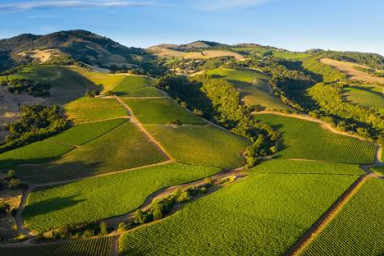 Sonoma Wine Country