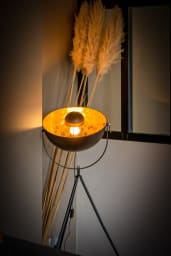 Lampe