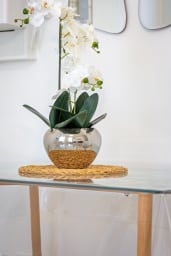 Décoration d'ambiance