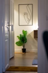 Décoration d'ambiance