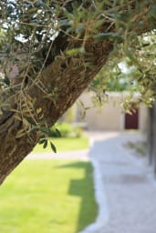 book-maison-diecisiete-property-rental-kid-friendly-rambouillet-pioma-home