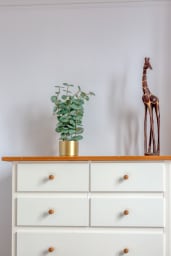 Décoration d'ambiance