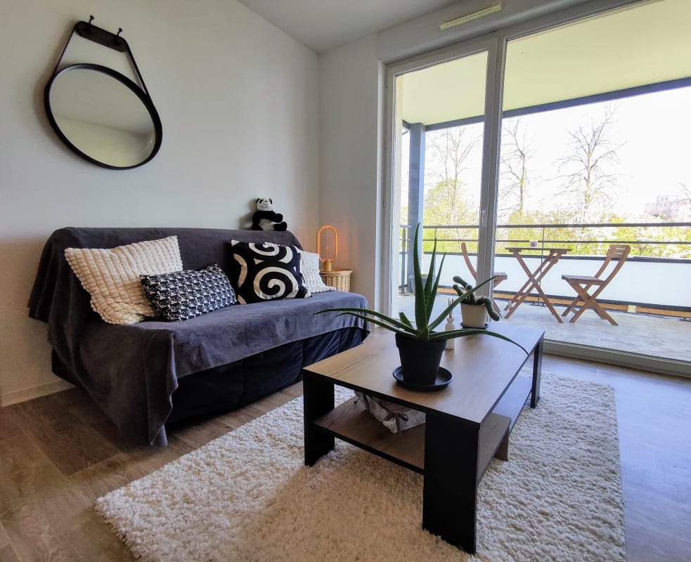 Appartement Le Salluste : T2 cosy avec balcon à Strasbourg. 