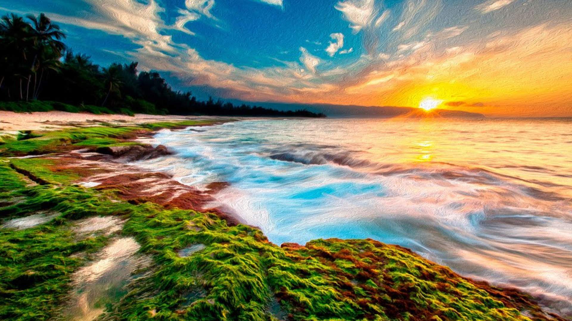 North Shore Oahu, Hawaii