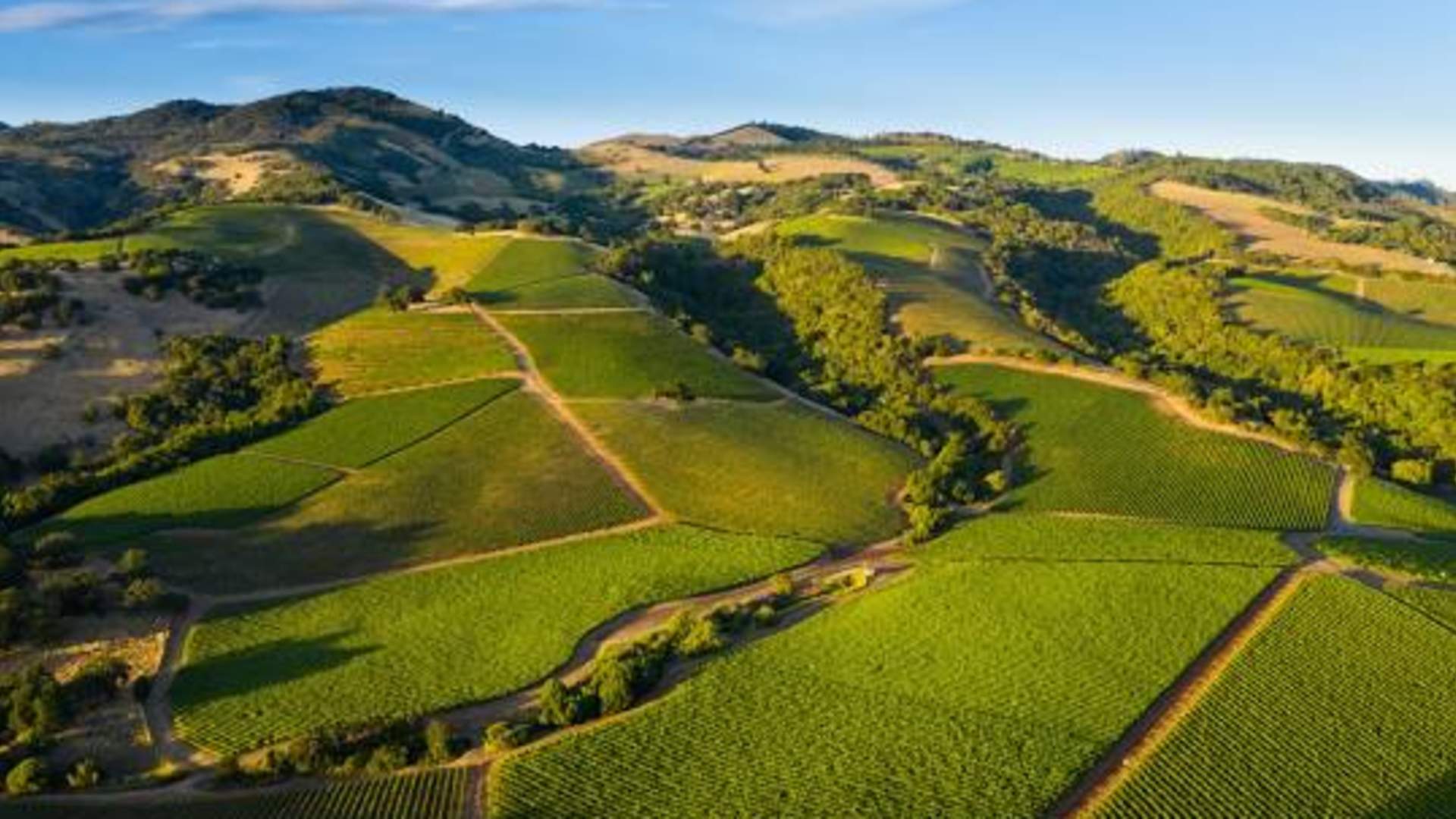 Sonoma Wine Country