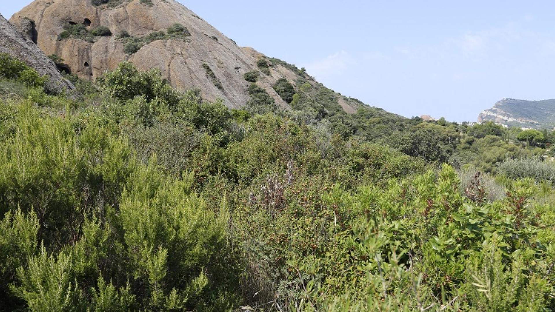 La Garrigue