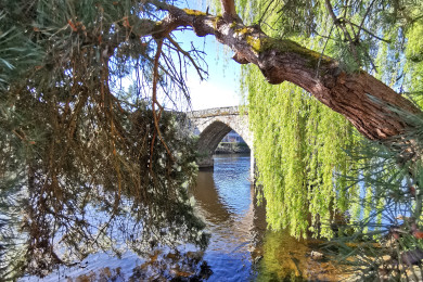 Bord de  Vienne 