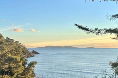 Vue depuis la maison