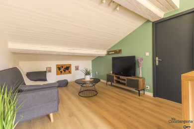 Espace séjour avec télévision et plafond en pente