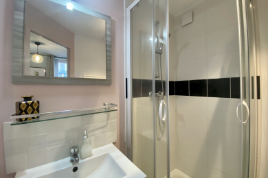 Salle de bain avec douche et WC