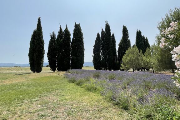 Le moulin des Rosiers