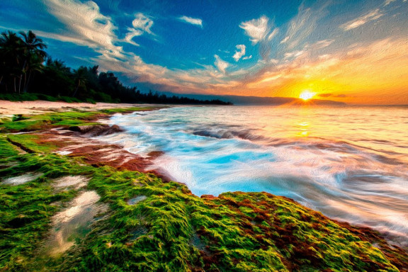 North Shore Oahu, Hawaii