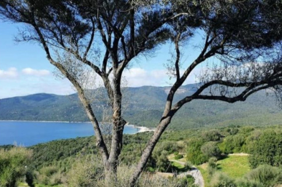 Vue de la résidence