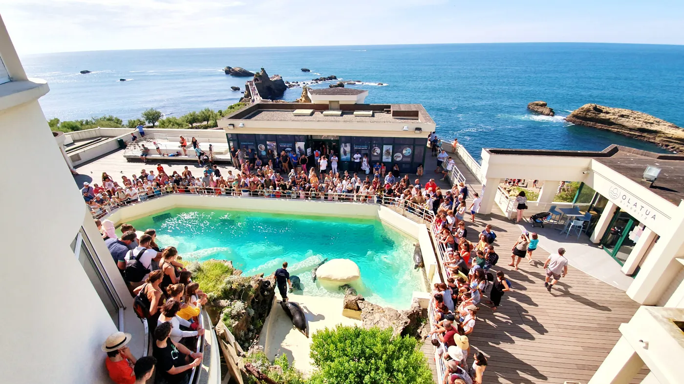 Acuario
