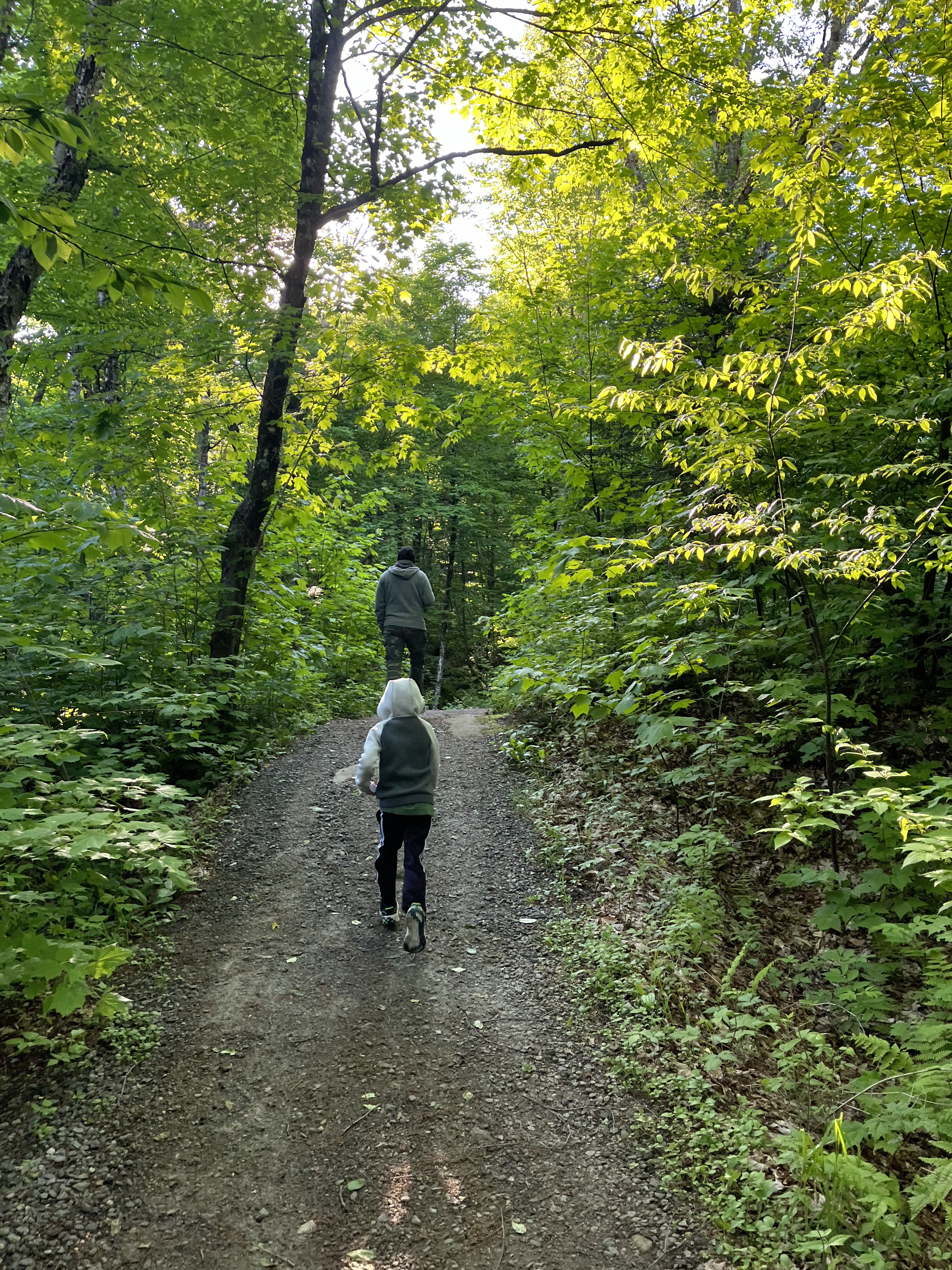 Enfants en randonnée l’été aux Refuges Perchés