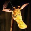 Production photo: the Giraffe