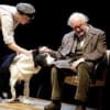 Goodnight Mister Tom production photo by Catherine Ashmore