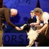 Tom Oakley (Oliver Ford Davies), William Beech (Ewan Harris) and Sammy (puppeteer Elisa De Grey)