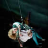 As The World Tipped by Wired Aerial Theatre