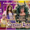 Selling fast:: Mansfield Palace Theatre's 2014 panto