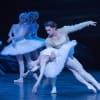 Alina Cojocaru and Ivan Vasiliev in Derek Deane's Swan Lake