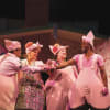 Daniel Buckley as Q, Alison Jiear as Mother Pig, Leanne Jones as Bee and Taofique Folarin as Bar