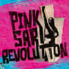“Ambitious and challenging”: Pink Sari Revolution
