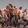 Danza Contemporanea de Cuba (Theatre Royal, Newcastle)