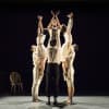 Artists of The Royal Ballet in Jeux