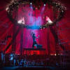 Flying high: the New Vic’s Circus 50:50 artist development programme